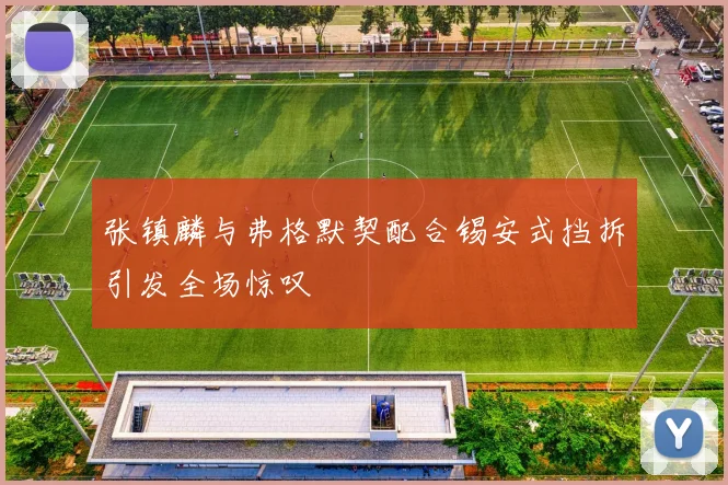 张镇麟与弗格默契配合锡安式挡拆引发全场惊叹